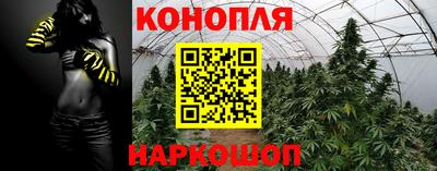 ALPHA PVP Славгород