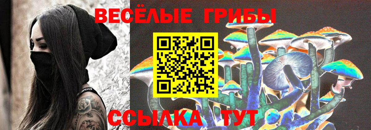 Псилоцибиновые грибы Psilocybe  Вход с VPN  Галлюциногенные грибы Psilocybe  Новозыбков 